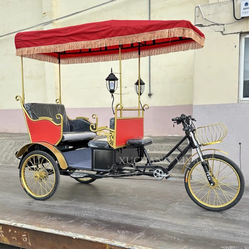 Pedicab Factory - Eco-friendly 3 Wheel Bike