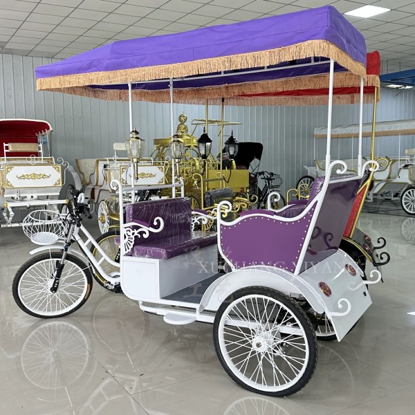 Electric Rickshaw Manufacturer - 3 Person 4 Seats