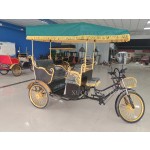 Pedicab Supplier - Elegant Open Body Good Price