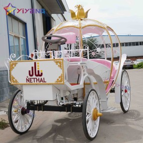 Horse Carriage Supplier - Luxury European Air Conditioned
