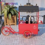 Electric Tricycle Factory - 36V Alloy Kids Cargo