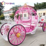 Horse Carriage Supplier - Luxury European Air Conditioned