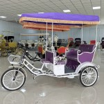 Motorized Pedicab Factory - Adult Purple Rickshaw