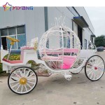 Horse Carriage Manufacturer - Air Conditioned Pumpkin