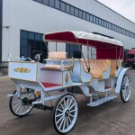 Horse Carriage Manufacturer - Wedding Sightseeing Sale