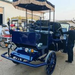 Horse Carriage Manufacturer - Wedding Sightseeing Electric