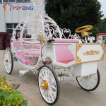 Horse Carriage Manufacturer - Air Conditioned Pumpkin