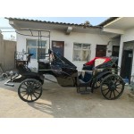 Horse Carriage Manufacturer - Wedding Sightseeing Electric