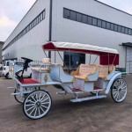 Horse Carriage Manufacturer - Wedding Sightseeing Sale