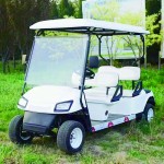Golf Cart Manufacturer - 2 Seater Electric Custom