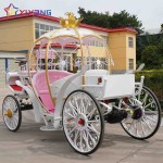 Horse Carriage Supplier - Luxury European Air Conditioned