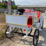 Horse Carriage Supplier - Electric Sightseeing Carriage
