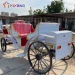 Horse Carriage Supplier - Electric Sightseeing Carriage