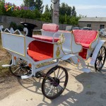 Horse Carriage Supplier - Electric Sightseeing Carriage