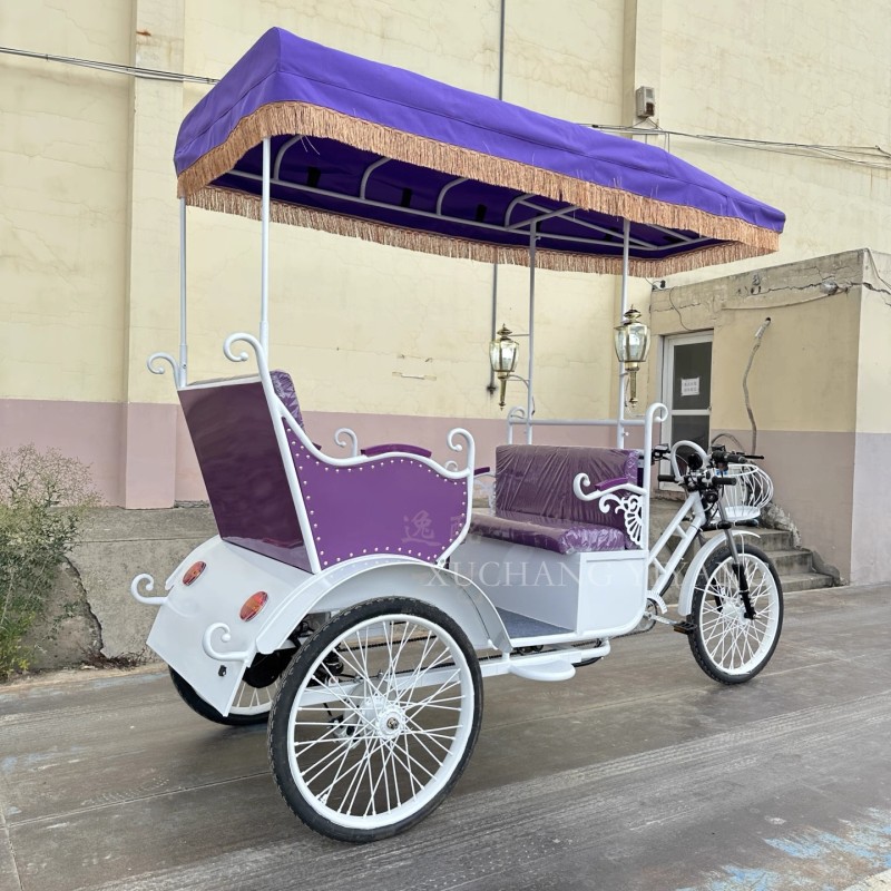 Motorized Pedicab Factory - Adult Purple Rickshaw
