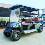 Golf Cart Manufacturer - 2 Seater Electric Custom