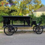 Funeral Hearse Factory - Electric Cinderella Carriage