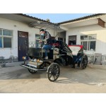 Horse Carriage Manufacturer - Wedding Sightseeing Electric