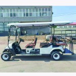 Golf Cart Supplier - 6 Seater Street Legal