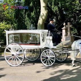 Funeral Hearse Factory - Electric Cinderella Carriage