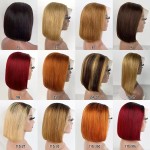 Lace Front Wig Factory - Vietnamese Raw Hair Bone Straight Bob