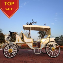 Royal Carriage Manufacturer - OEM Electric Cinderella Horseless Wagon
