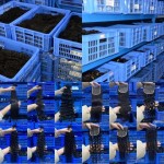 Virgin Hair Factory - Wholesale 12a Grade Vietnamese Raw Hair