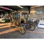 Electric Carriage Manufacturer - OEM Luxury Wedding Horseless Design