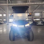 Golf Cart Manufacturer - 2025 Off Road Street Legal Lithium Battery