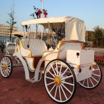 Royal Carriage Manufacturer - OEM Electric Cinderella Horseless Wagon