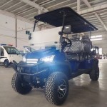 Golf Cart Manufacturer - 2025 Off Road Street Legal Lithium Battery