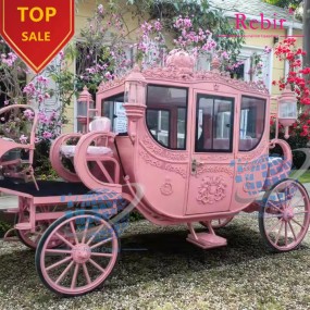 Princess Carriage Manufacturer - New Design Cinderella Special Transport