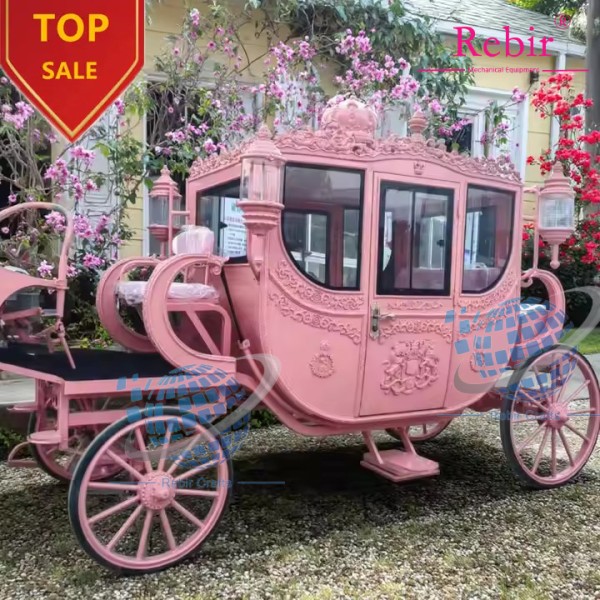 Princess Carriage Manufacturer - New Design Cinderella Special Transport