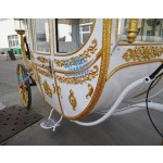 Gold Carriage Factory - Electric Horseless Wedding Princess Wagon