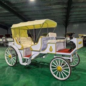 Electric Carriage Factory - Wholesale Theme Park Wedding Sightseeing