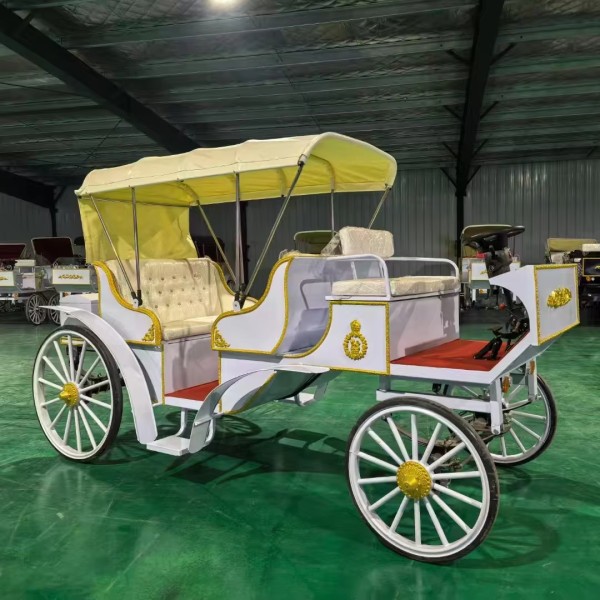 Electric Carriage Factory - Wholesale Theme Park Wedding Sightseeing