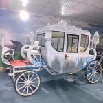 Wedding Carriage Factory - Pure Color Electric Horseless Vehicle