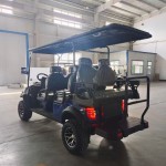 Golf Cart Manufacturer - 2025 Off Road Street Legal Lithium Battery
