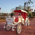 Royal Carriage Manufacturer - OEM Electric Cinderella Horseless Wagon