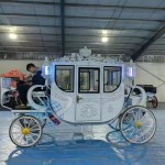 Wedding Carriage Factory - Pure Color Electric Horseless Vehicle