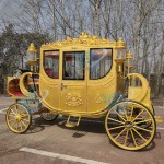 Royal Carriage Manufacturer - Chinese Factory Special Transportation