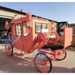 Princess Carriage Manufacturer - New Design Cinderella Special Transport