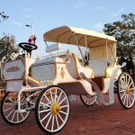 Royal Carriage Manufacturer - OEM Electric Cinderella Horseless Wagon