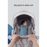 Baby Stroller Manufacturer - Eggshell Style Reversible 0-36 Months