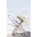 Baby Stroller Manufacturer - Compact Lightweight Waterproof Carriage