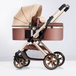 Baby Stroller Manufacturer - High View Car Seat Two Way