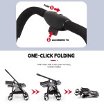 Pet Stroller Factory - 4 Wheel Luxury Jogging Travel