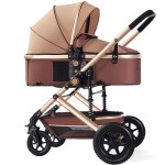 Baby Stroller Manufacturer - Newborn 3 in 1 with Bassinet