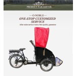 Cargo Bike Supplier - 3 Wheel Adult Children