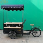 Food Kiosk Supplier - Custom Summer Street Truck